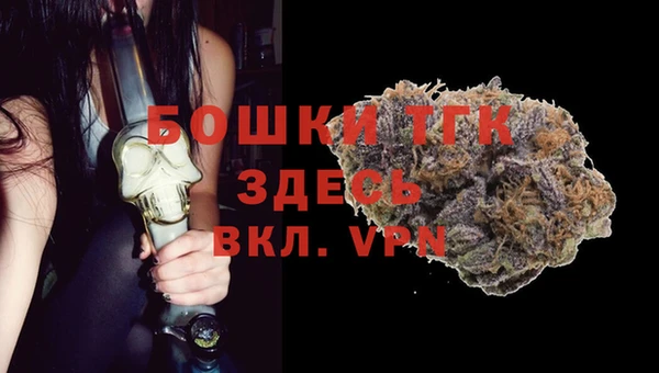 spice Богданович