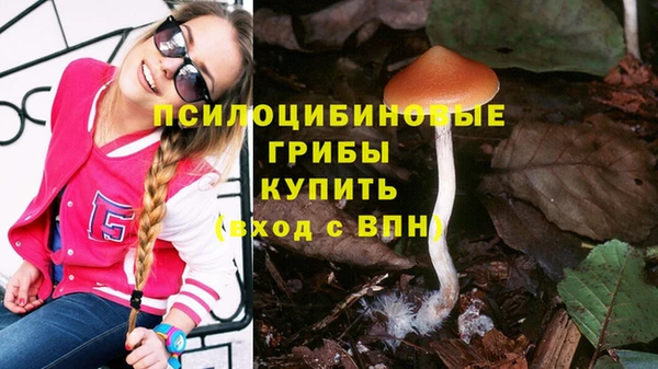 spice Богданович