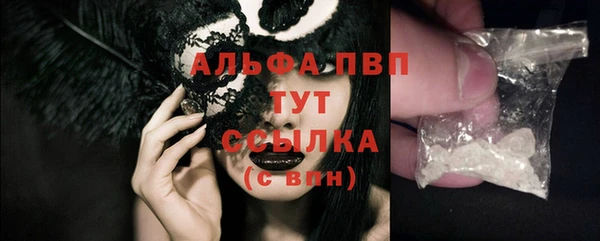 spice Богданович