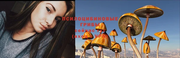 бошки Богородск
