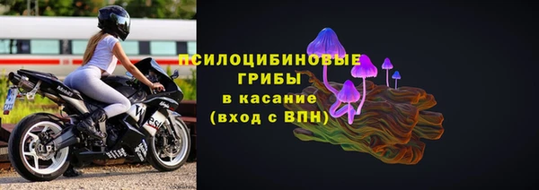 индика Ступино