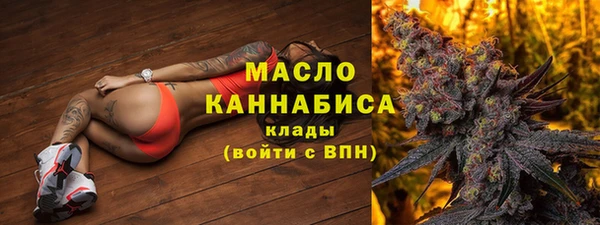 индика Ступино